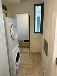 Amaryllis Ville (D11), Condominium #570547481